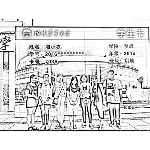 2023年奥门原料免费资料