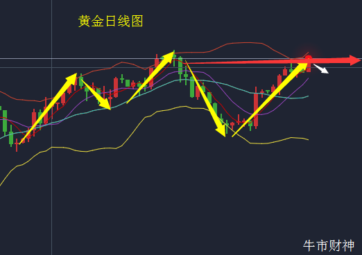 黄金早.png