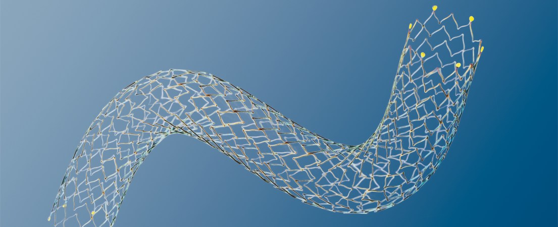 bio20774_1105x450.jpg