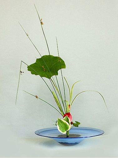 容器对比色.png 插花中的色彩表现