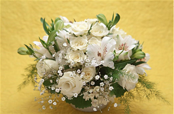 同色系.png 插花中的色彩表现