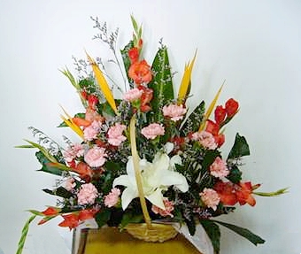 timg (1).jpg timg (1).jpg