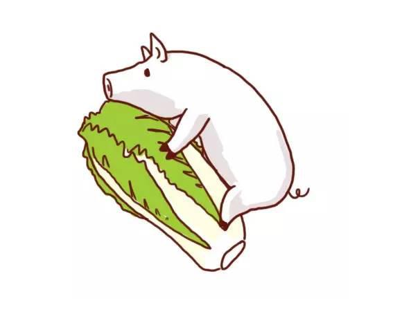 猪拱白菜斗图表情包