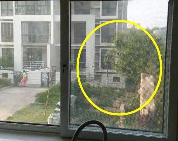 成都窗户装修万万不要装窗纱了，现在都流行这样装，一个蚊子都没有.