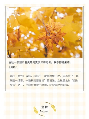 黄色格子背景二十四节气立秋秋季图文模板