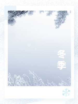 动态雪花背景冬季二十四节气图文模板
