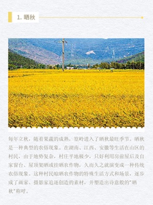 黄色简约清新秋天图文模板