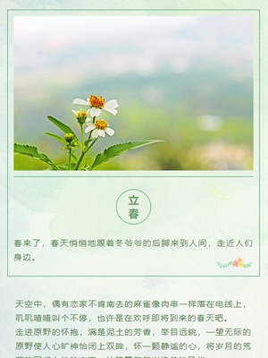 简约文艺绿色小清新立春春天图文模板