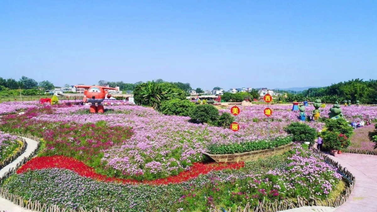 广州从化花卉种植基地图片
