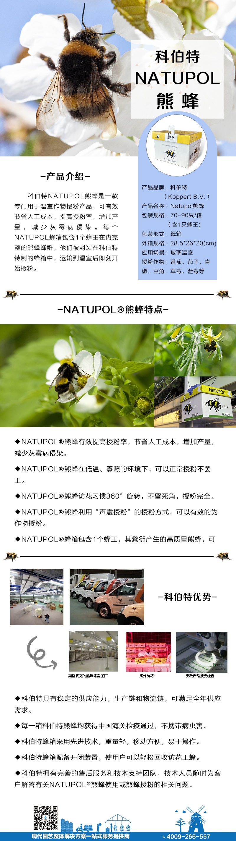 科伯特文描.jpg