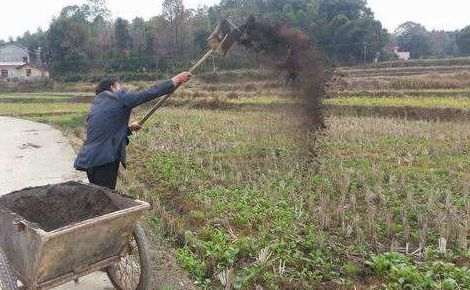 冬春低温施肥技术方法-图片版权归惠农网所有