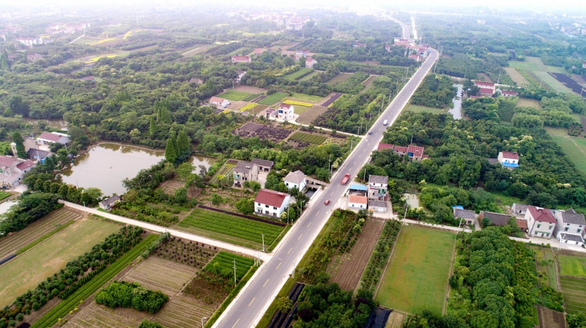 DJI_0008_副本.jpg