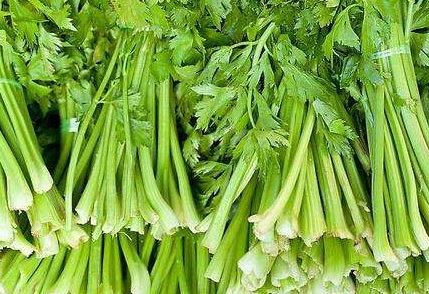 温室芹菜空心病的防治-图片版权归惠农网所有