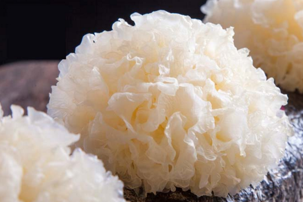 高效益银耳种植技术-图片版权归惠农网所有