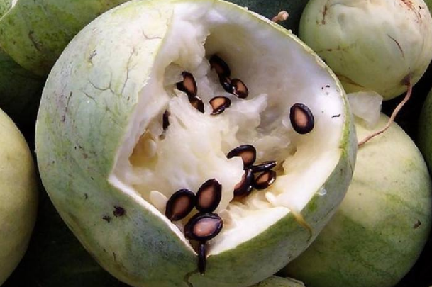 西瓜的几种精加工-图片版权归惠农网所有