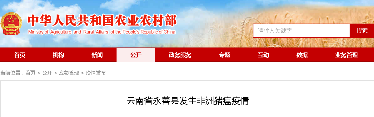 云南省永善县发生非洲猪瘟疫情