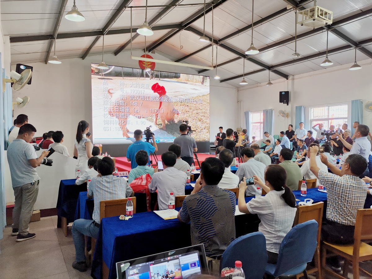 正典生物参展第十九届中国武汉种猪拍卖展销与学术交流会
