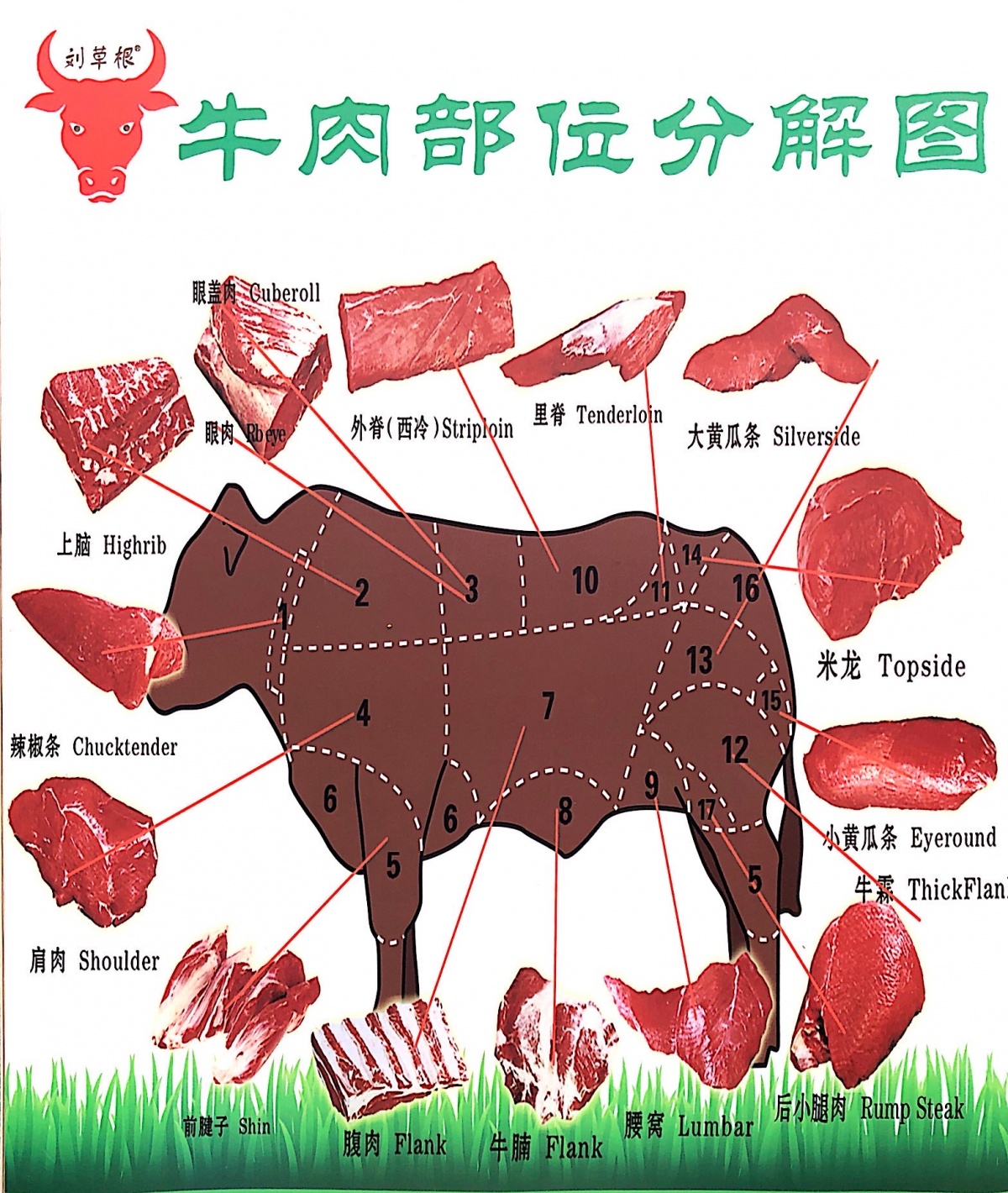 牛的各个部位名称图解图片