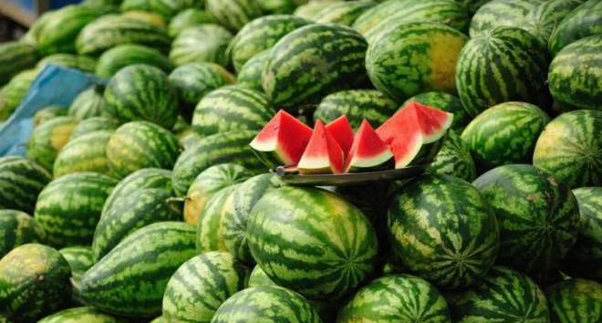 早春西瓜、秋延西瓜、菠菜一年三熟种植模式-图片版权归惠农网所有