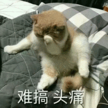 难搞.gif