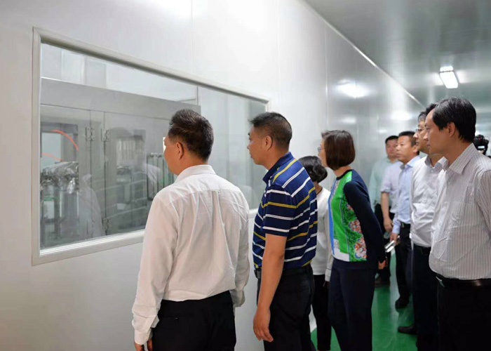 武汉市委常委,市政府副市长李有祥一行领导来公司考察