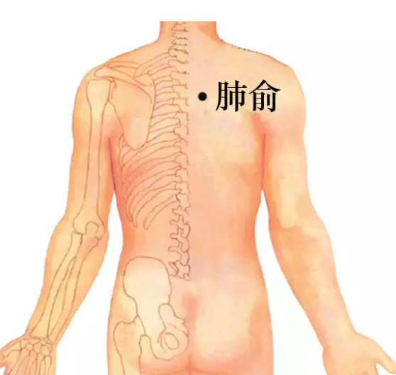 006mAGmmgy6YNgQiadP71&690.png 006mAGmmgy6YNgQiadP71&690.png