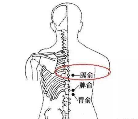 艾灸调理腰痛的选穴教程 .艾灸常识