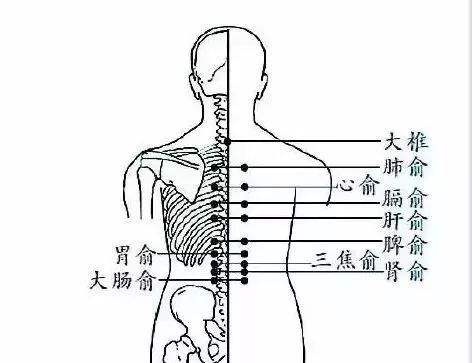 有这样症状 你可以这样艾灸 .艾灸常识