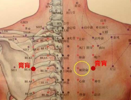 贫血的艾灸穴位图和方法 .艾灸常识