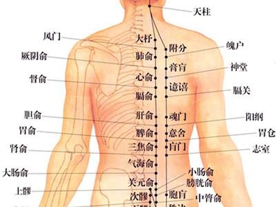 艾灸的操作方法 补中益气艾灸养生穴 .艾灸养生