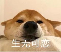 15168715869830916.jpg
