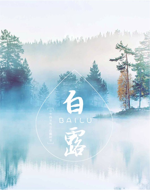 白露.jpg