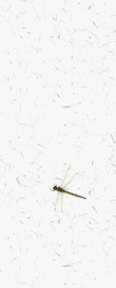 3 (2).png 3 (2).png