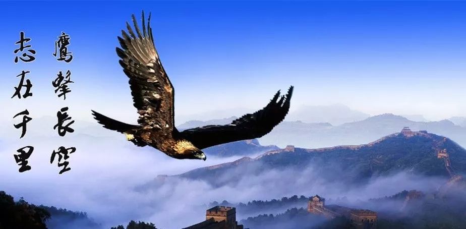 你是雄鹰,就展翅翱翔,来这里,不仅能提升自身实力,还有足够的发展空间