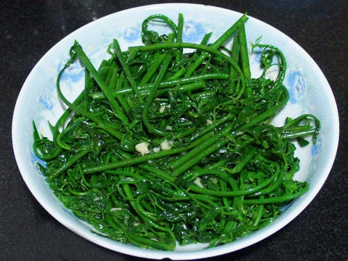 食在海南 | 来自热带雨林的馈赠——细数海南深山老林里的野菜