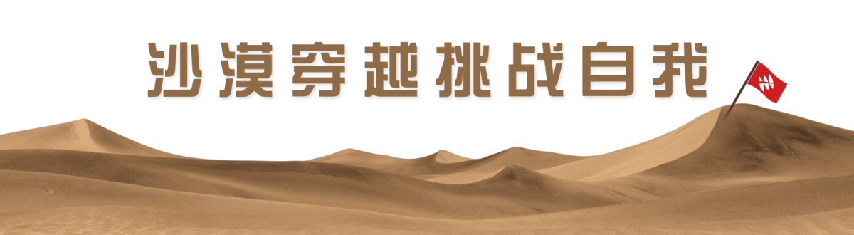 沙漠里的骆驼免抠图素材副本.png