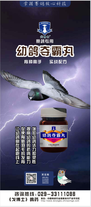 ΢ňDƬ_20191121144054.png