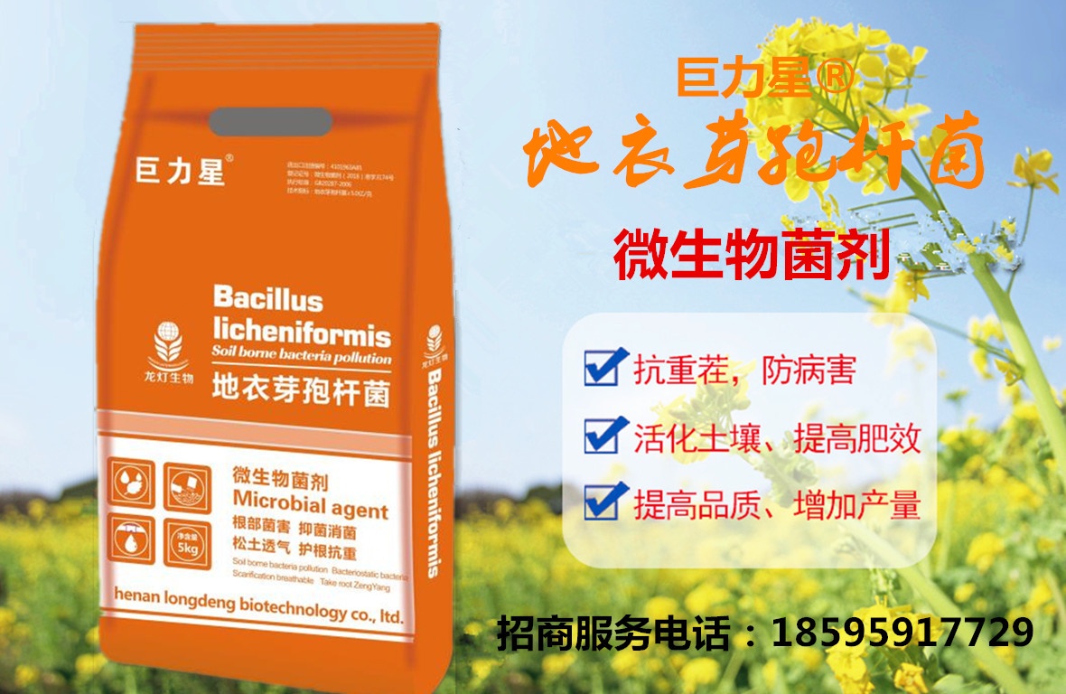 微生物菌剂 地衣芽孢杆菌d_副本.jpg