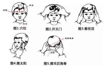 9   头部四穴