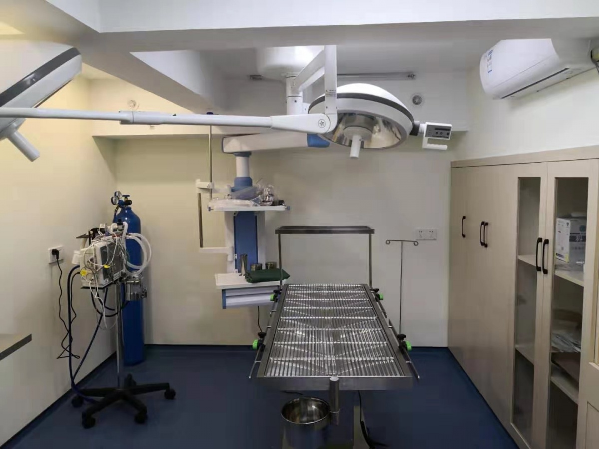 【钟楼·宠物天堂】120元享原价320元依伴宠物医院猫咪spa套餐!