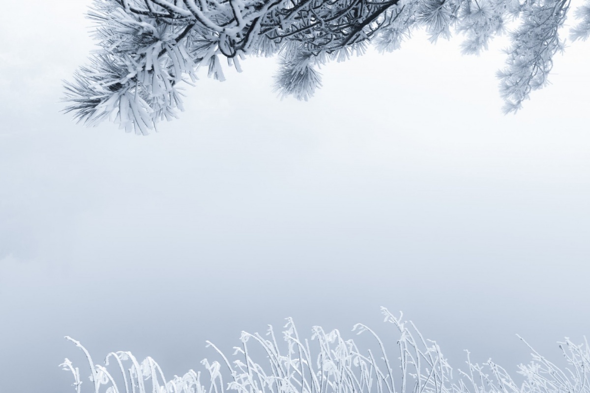 摄图网_500797544_banner.jpg