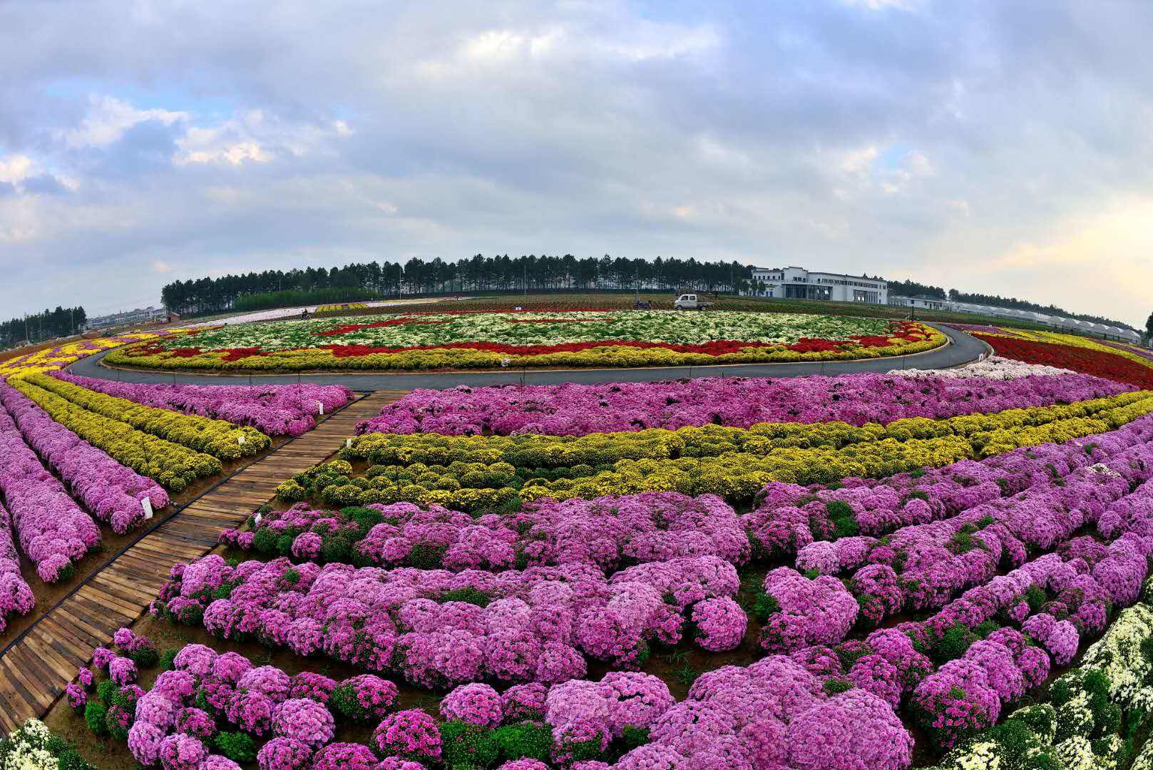 9月16日漁歌小鎮等您來熱鬧