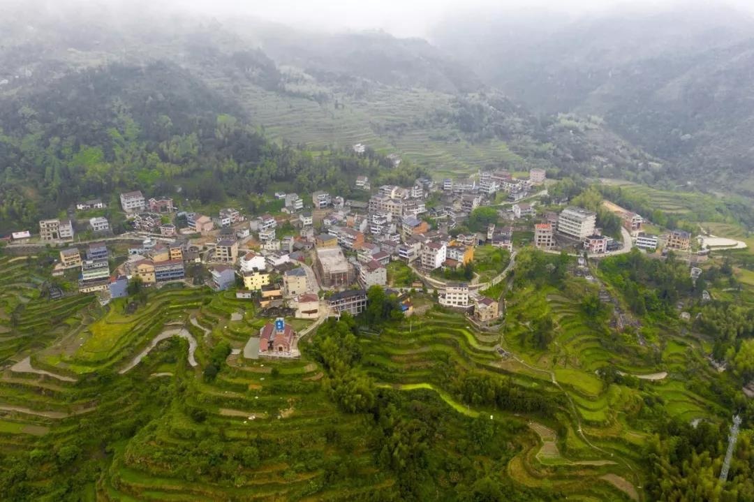 【青田旅游】黄圆平:这里有别墅民宿,有乡村霓虹,还有激情花溪谷 - 热点 - 丽水在线-丽水本地视频新闻综合门户网站