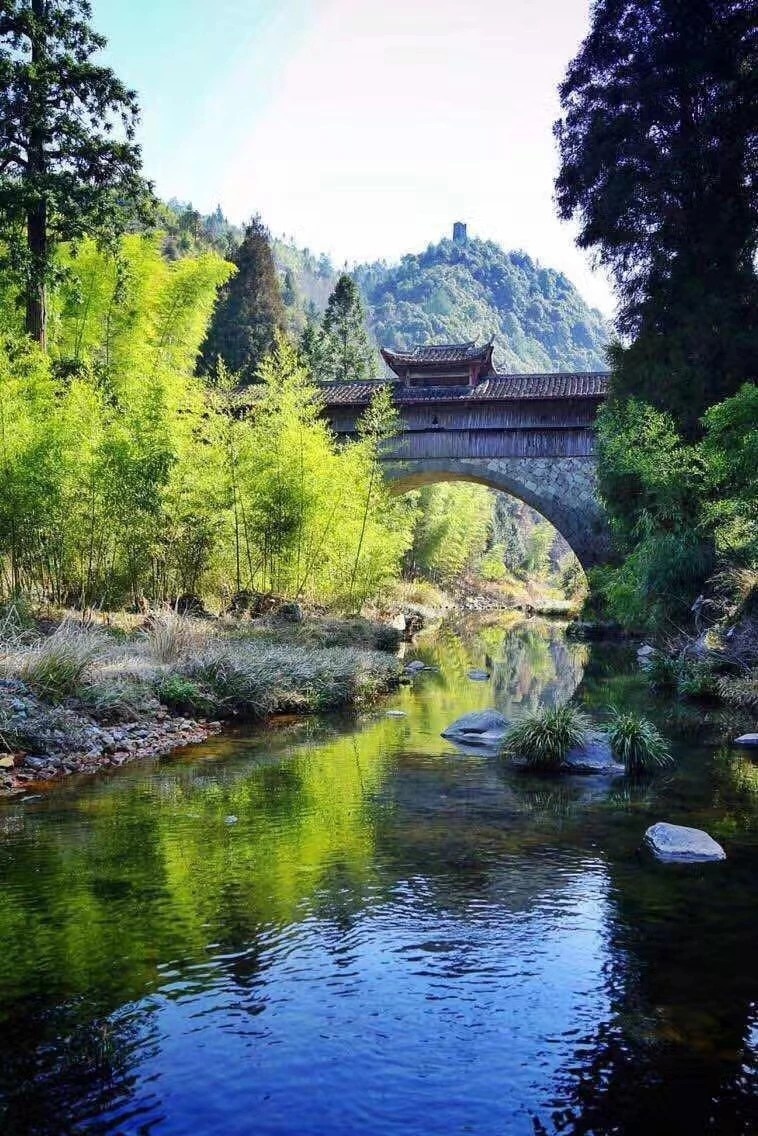 生态富豪庆元的水是这样的