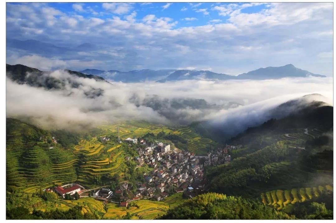 【青田旅游】黄圆平:这里有别墅民宿,有乡村霓虹,还有激情花溪谷 - 热点 - 丽水在线-丽水本地视频新闻综合门户网站