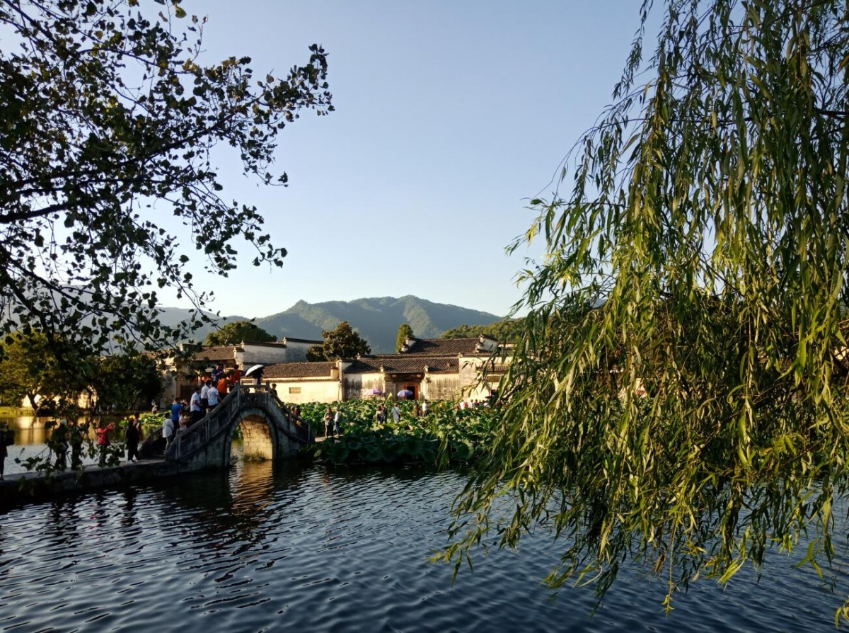 TIM截图20190925114416.jpg