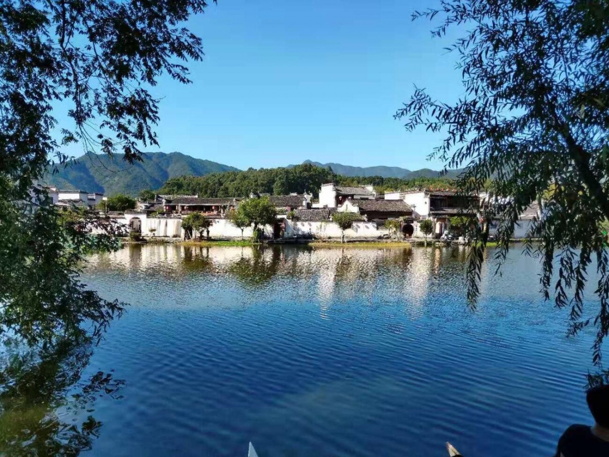 TIM截图20190925114532.jpg