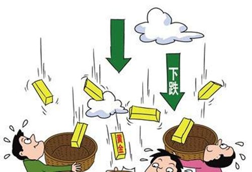 timg_副本.jpg