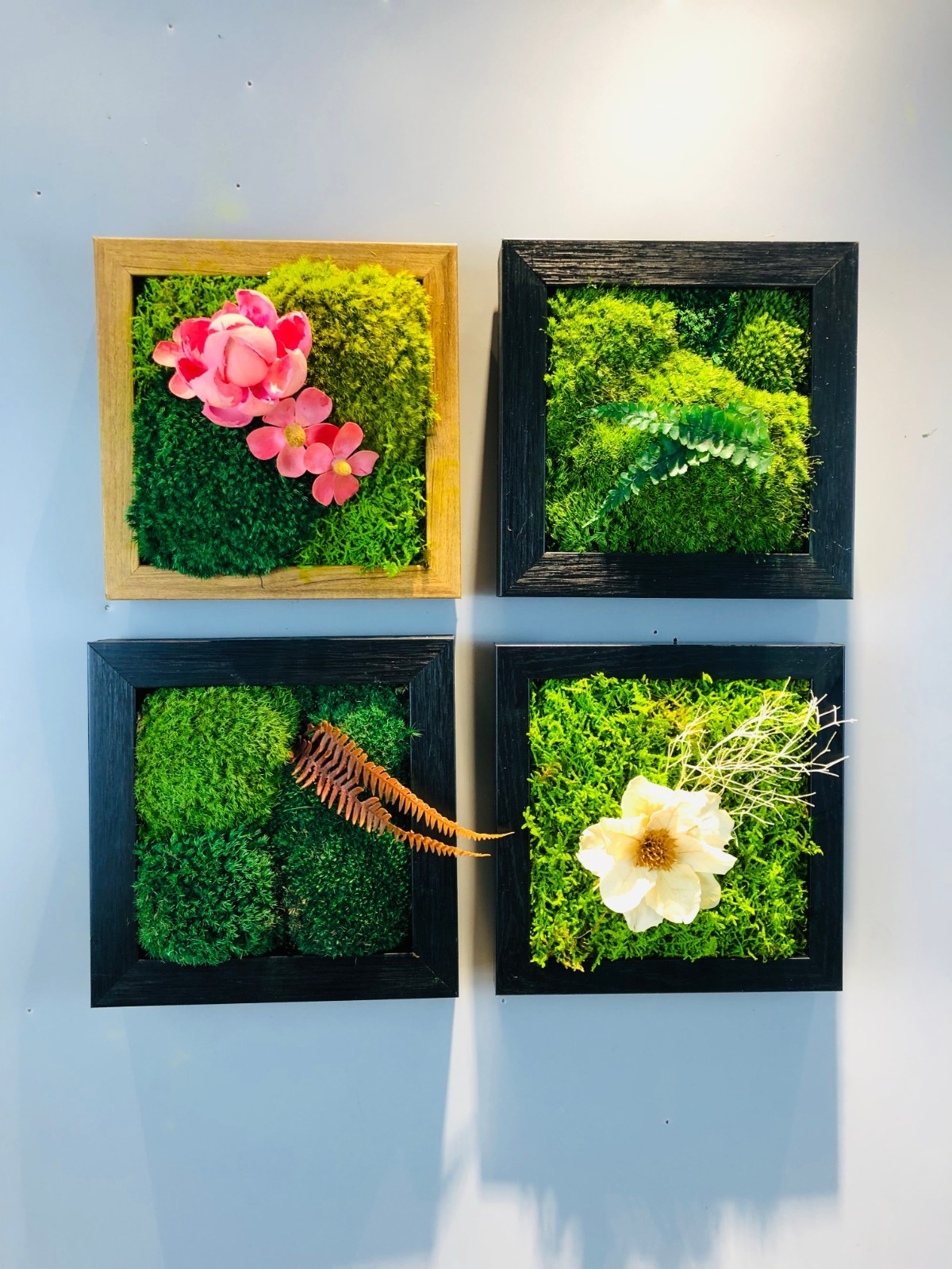 艺术苔藓画4.jpg
