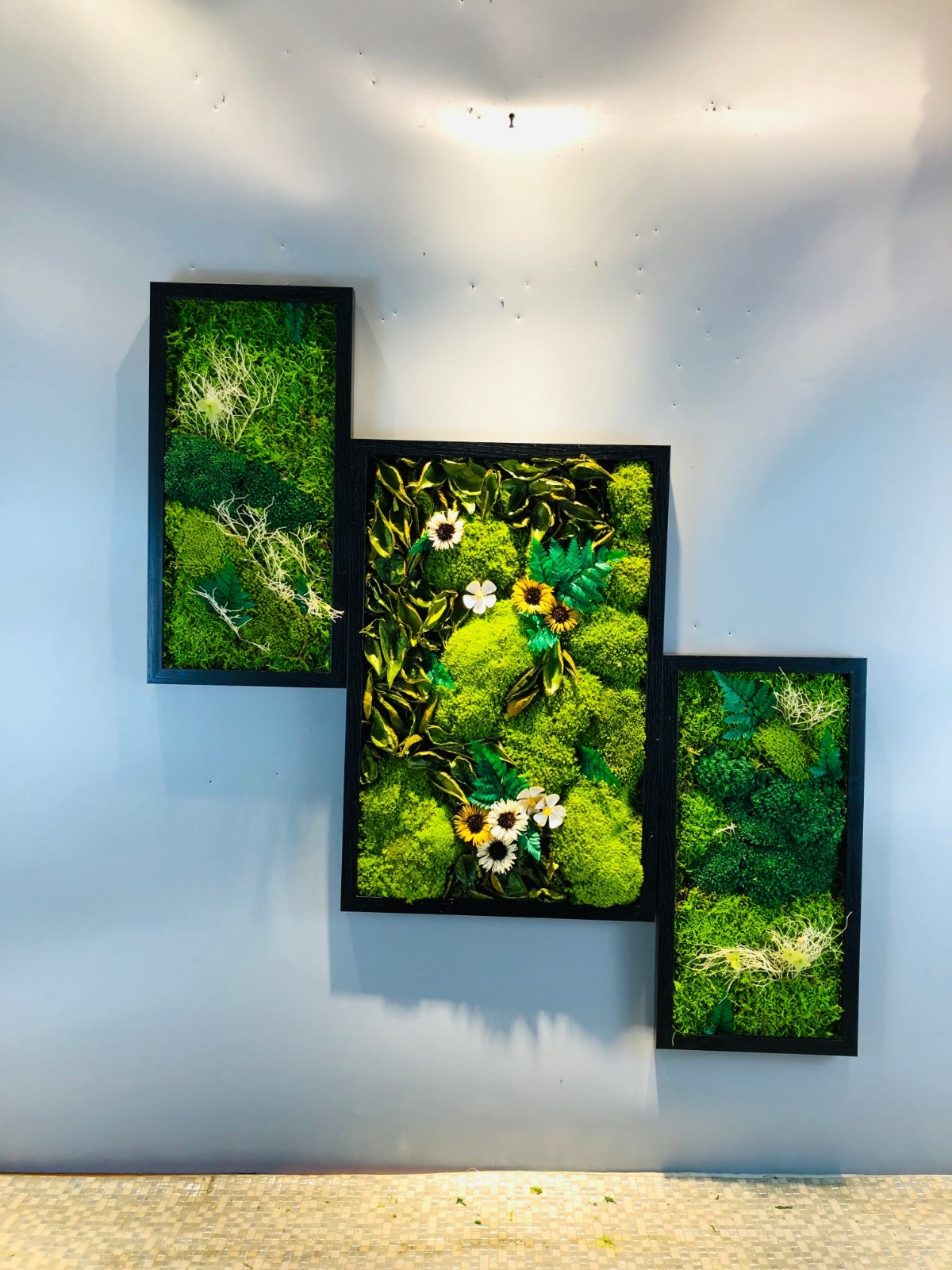 艺术苔藓画3.jpg